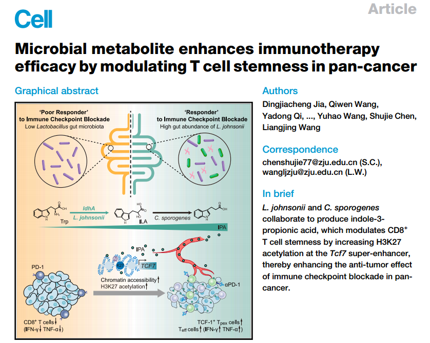 Cell重磅 │ Vazyme表观助力浙江大学王良静、陈淑洁团队合作发现抗癌新方法！
